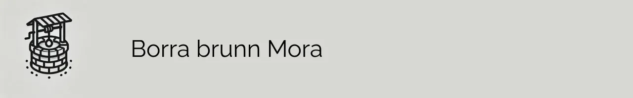 Borra brunn Mora